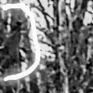 Meet your Posher, Max